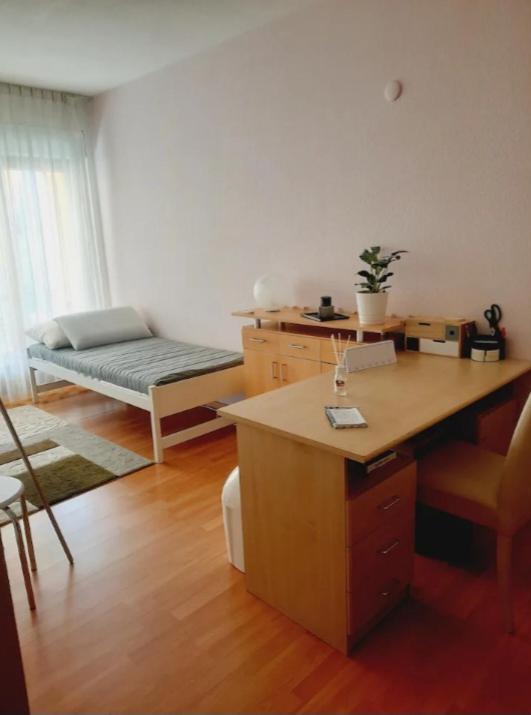 Camera Privata Con Balcone Gordola Exteriér fotografie
